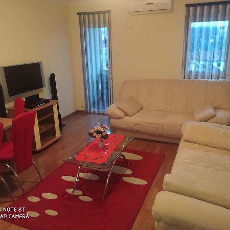 Apartman Arsenijevic Vrnjačka Banja 外观 照片
