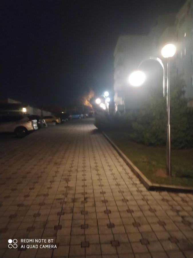 Apartman Arsenijevic Vrnjačka Banja 外观 照片