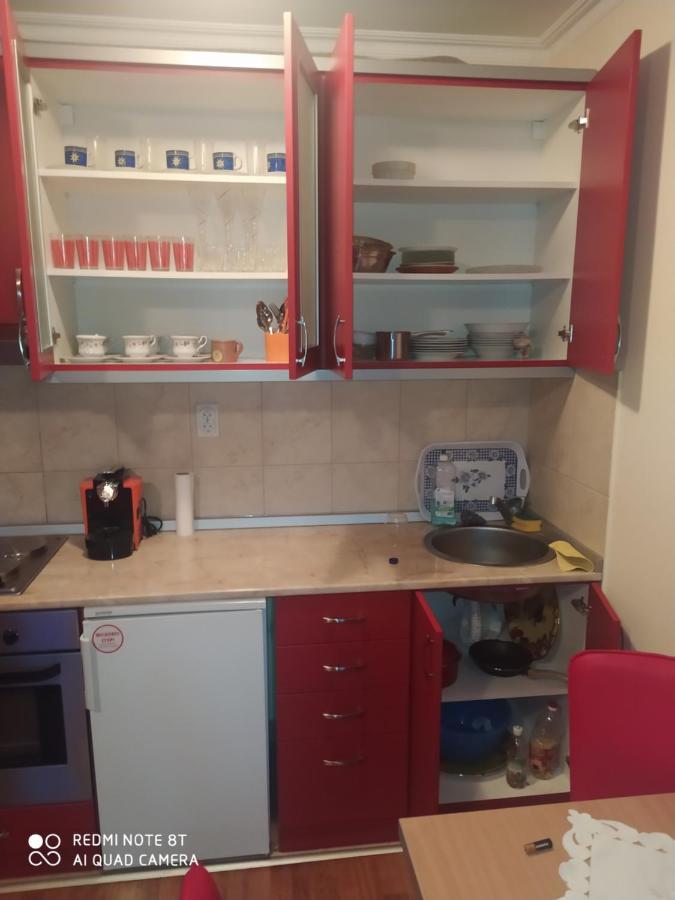 Apartman Arsenijevic Vrnjačka Banja 外观 照片