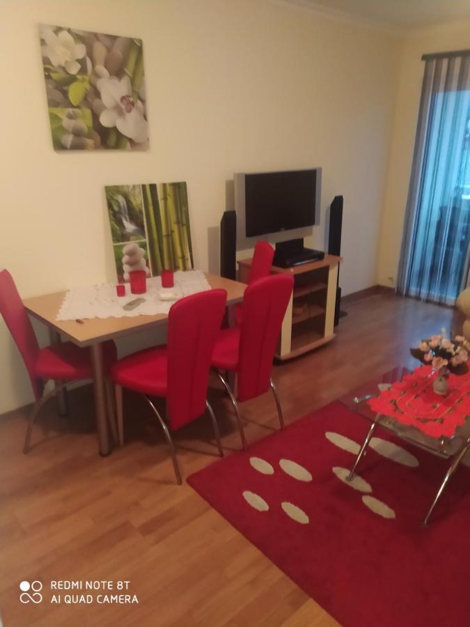 Apartman Arsenijevic Vrnjačka Banja 外观 照片