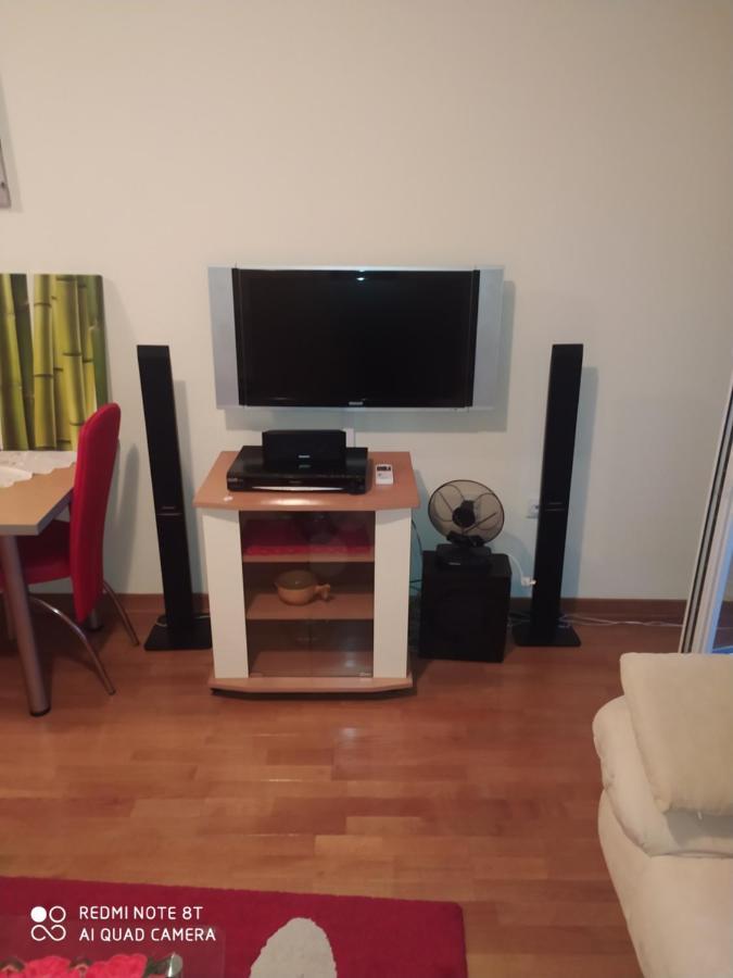 Apartman Arsenijevic Vrnjačka Banja 外观 照片
